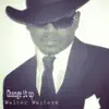 Walter Waiters - Change It Up - Single